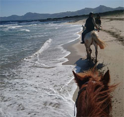 Mallorca excursion a caballo