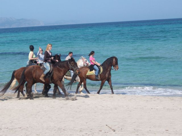 Horse riding trips mallorca