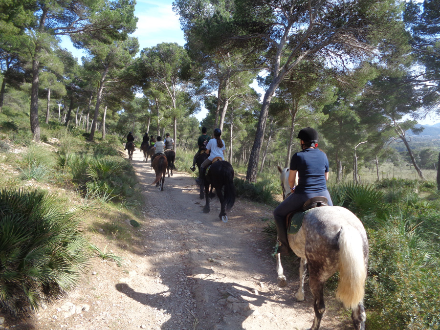 Mallorca excursiones a caballo